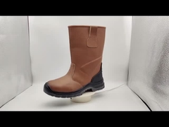 Giầy bảo hộ, giầy an toàn