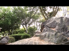 Giày an toàn chiến thuật