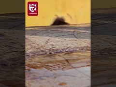 Giày làm việc an ninh